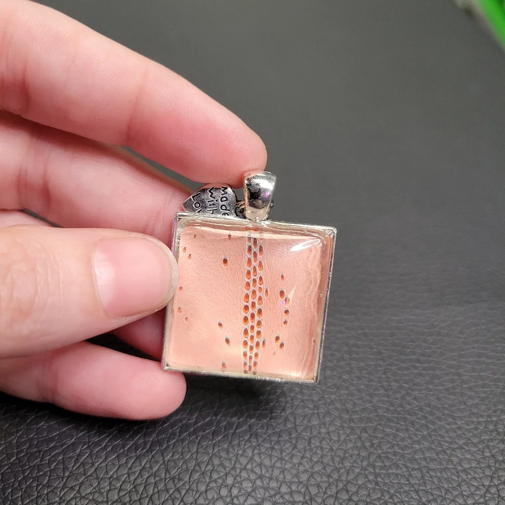 Snake shed necklace - Picture 2 of 4